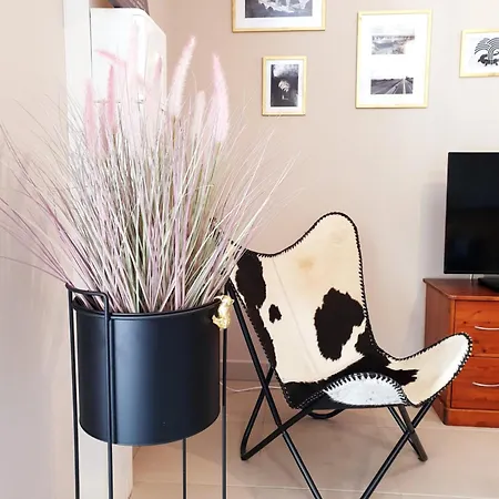 Les Iris * Lédenon